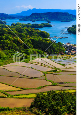 大浦の棚田 水張り風景 大浦の棚田 水張り風景 22974427