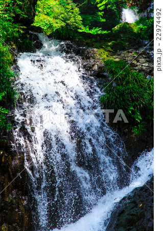 新緑の潜竜ヶ滝公園 新緑の潜竜ヶ滝公園 22974492