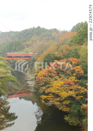 秋のいすみ鉄道 22974574