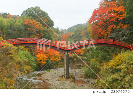 紅葉の渓流 22974576