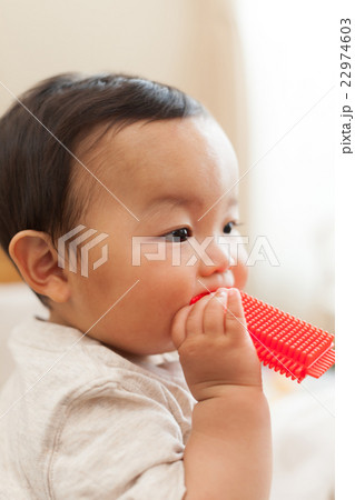 8 months old 22974603