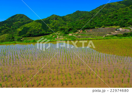 春日の棚田 水張り風景 春日の棚田 水張り風景 22974680