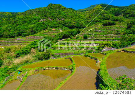 春日の棚田 水張り風景 春日の棚田 水張り風景 22974682