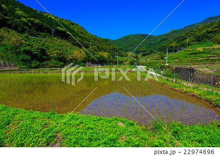 春日の棚田　水張り風景 22974696