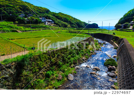 春日の棚田　水張り風景 22974697