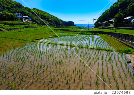 春日の棚田 水張り風景 春日の棚田 水張り風景 22974698