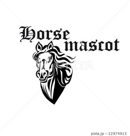 Black and white horse mascot of purebred stallion 22974913