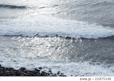 伊豆/稲取海岸の荒波 22975146