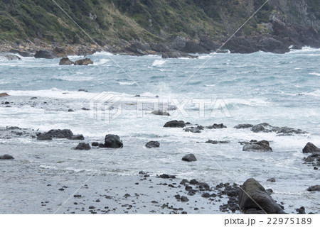 荒れた伊豆の海 22975189