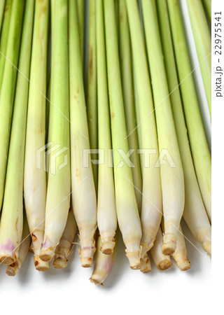 lemon grass lemon grass 22975541