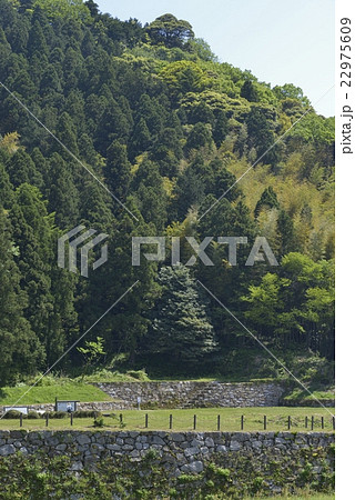 月山富田城跡 月山富田城跡 22975609