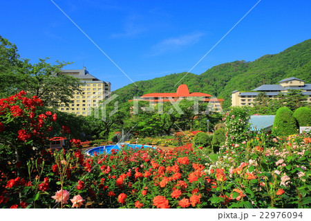 花巻温泉 バラ園の写真素材