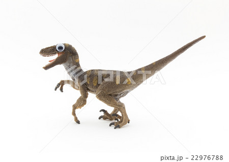 目玉シール・ベロキラプトル:Wiggly-eyed velociraptor 目玉シール・ベロキラプトル:Wiggly-eyed velociraptor 22976788