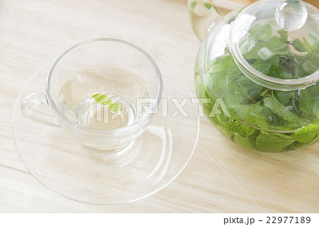 ハーブティー　ミントティー　ハーブ　ティータイム　カフェ　オーガニック 22977189