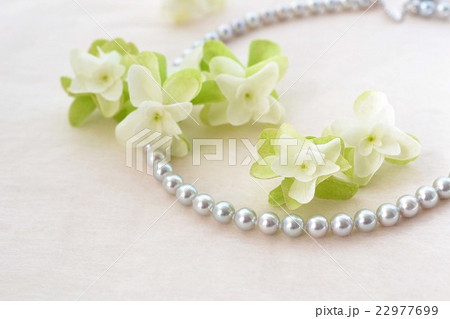 柏葉紫陽花とグレーパール 22977699