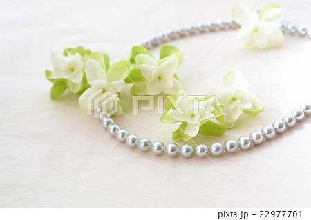 柏葉紫陽花とグレーパール 22977701