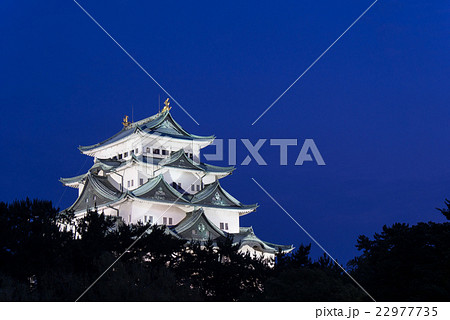 名古屋城天守閣 北側から 夜景 ライトアップの写真素材