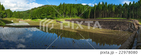 雨上がりの棚田 22978080