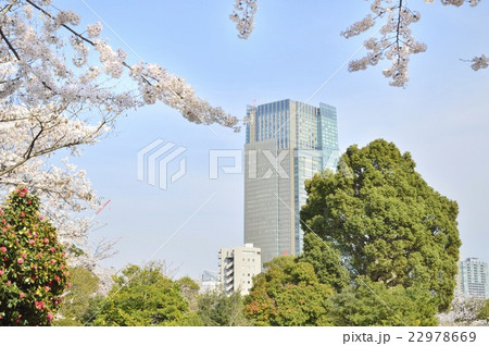 春の青山霊園から東京ミッドタウンを臨む 22978669