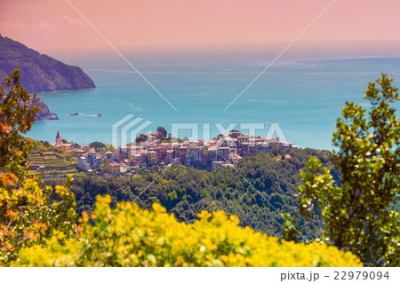 Rocky sea coast Rocky sea coast 22979094