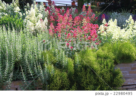 ロンドン紀行　その１５５　　：　　花と植物が織りなす色紙　その１０６ 22980495