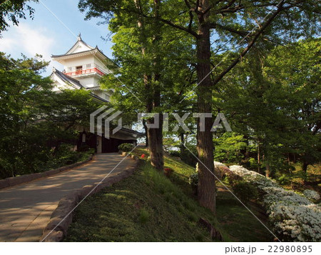 久保田城御隅櫓とツツジ 久保田城御隅櫓とツツジ 22980895