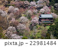 吉野山、山中の風景 22981484