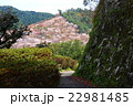 吉野山へと導く小道 22981485