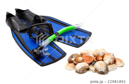 Diving equipment and seashells 22981891