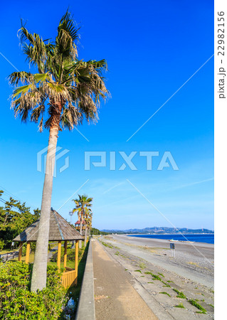 煙樹ヶ浜 22982156