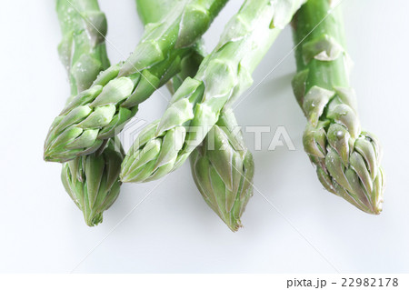 アスパラガス 野菜 アスパラガス 野菜 22982178