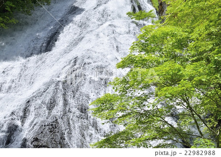 奥日光・湯滝 22982988