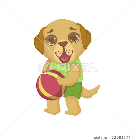 Puppy Holding The Ball 22983574