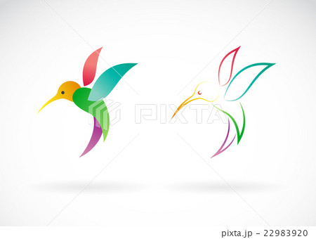 ハミングバードです♡⃛ 楽天市場】HUMMINGBIRD ハミングバード（ジュエリー・アクセサリー）の通販