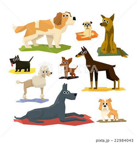 Different Dog Breeds Collection 22984043