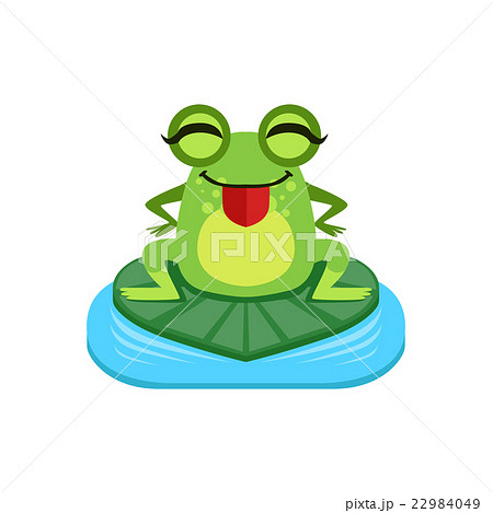 Silly Cartoon Frog Character Silly Cartoon Frog Character 22984049