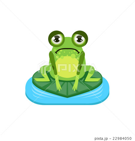 Upset Cartoon Frog Character 22984050