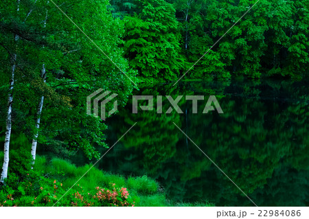 御射鹿池 (46) 22984086