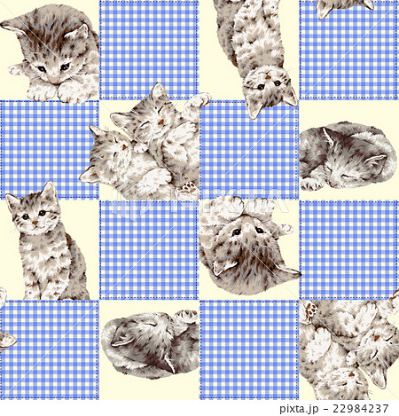 可愛いネコのパッチワーク 22984237