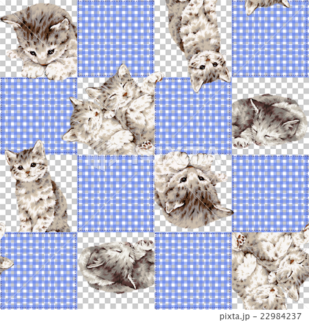 Patchwork of cute cats 22984237