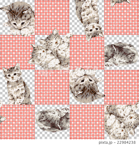 Patchwork of cute cats 22984238