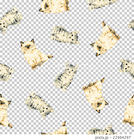 Cute cat pattern 22984297