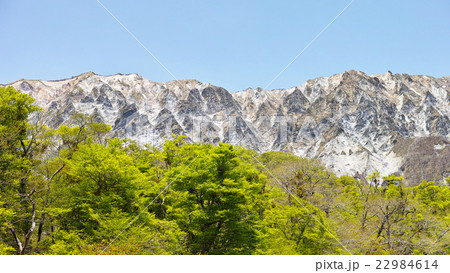 初夏の大山 南壁 初夏の大山 南壁 22984614