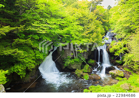 日光　新緑の竜頭の滝 22984686