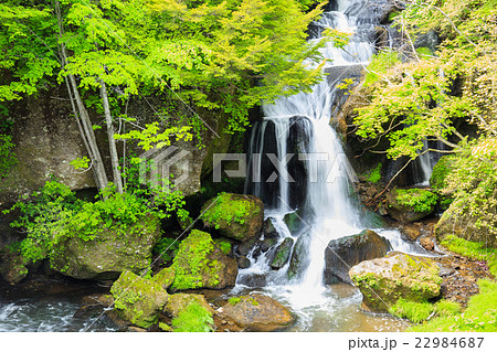 日光　新緑の竜頭の滝 22984687