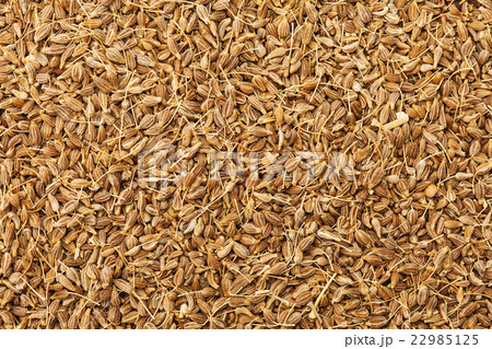 アニスシード(スペイン) アニスシード(スペイン) 22985125