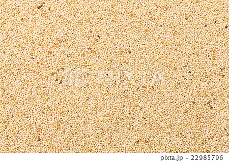 ポピーシード ポピーシード 22985796