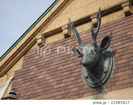 鳩山会館 22985817