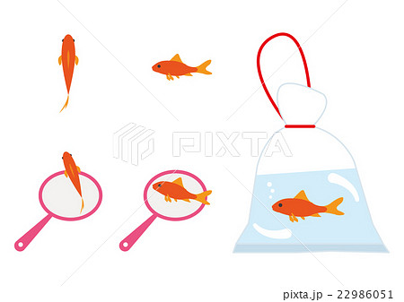 祭り 金魚 イラストのイラスト素材 22986051 Pixta