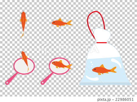 祭り　金魚　イラスト 22986051